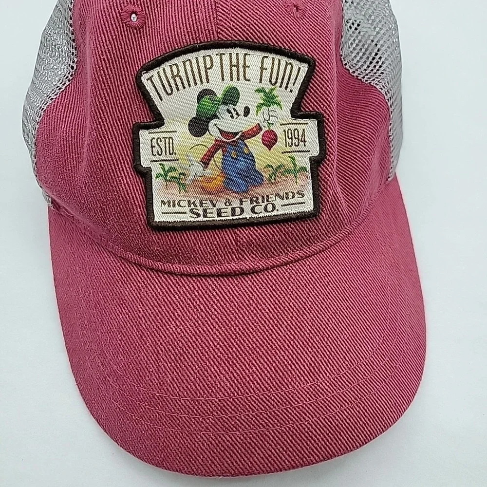 Disney parks mickey